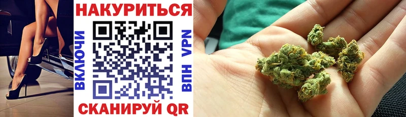 Бошки Шишки конопля Свирск